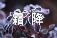 女人花原唱梅艳芳（女人花 —— 梅艳芳）